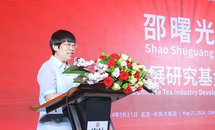 有关于多国外交使节应邀在京庆祝2024“国际茶日”的信息(1)