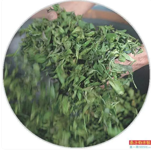 关于“茶叶工匠”助力标准化 罗坑茶香飘国际的消息(2)