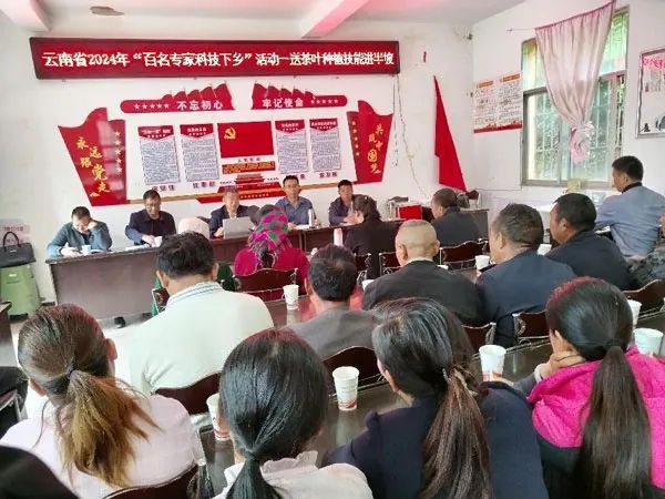 关于云南省科协派专家到茶乡 茶叶所科技助推乡村全面振兴的内容