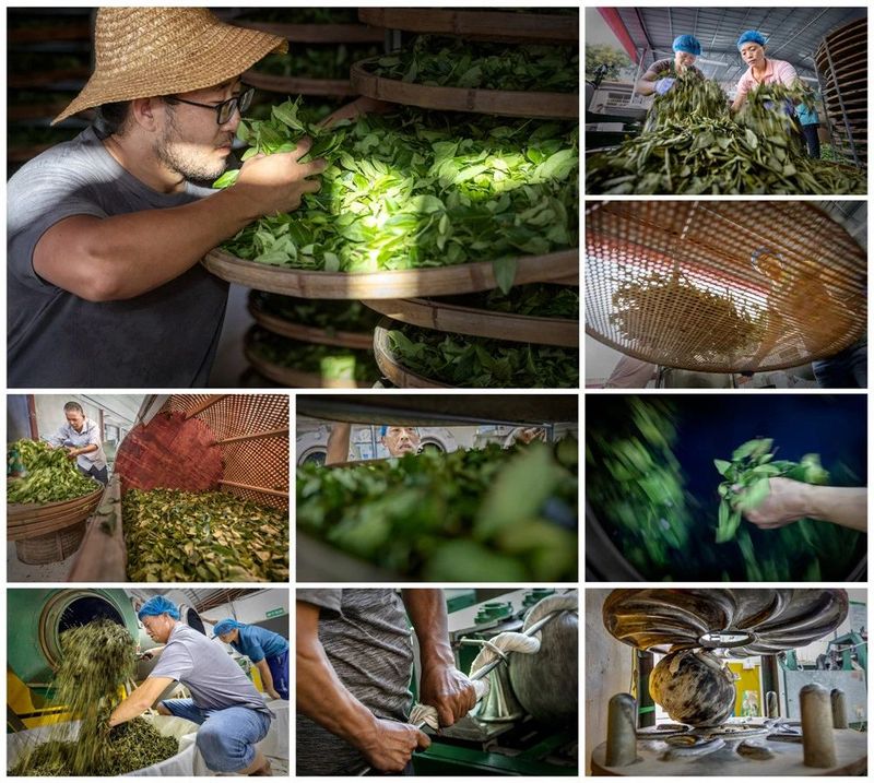 关于弋舟：茶文化可以帮我们找到内心的平衡与和谐的消息(1)