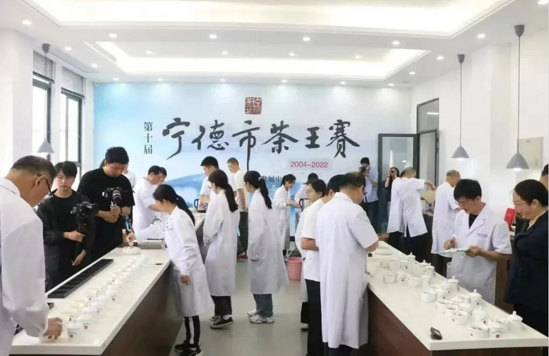 有关于超600份茶样！第十一届宁德市茶王赛即将开启！的信息(2)