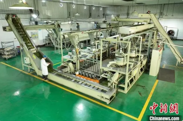 有关于贵州凤冈：茶产业转型升级助农增收致富的相关内容(2)