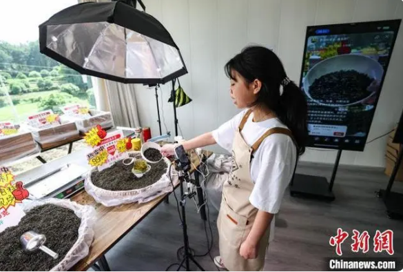 有关于贵州凤冈：茶产业转型升级助农增收致富的相关内容(9)