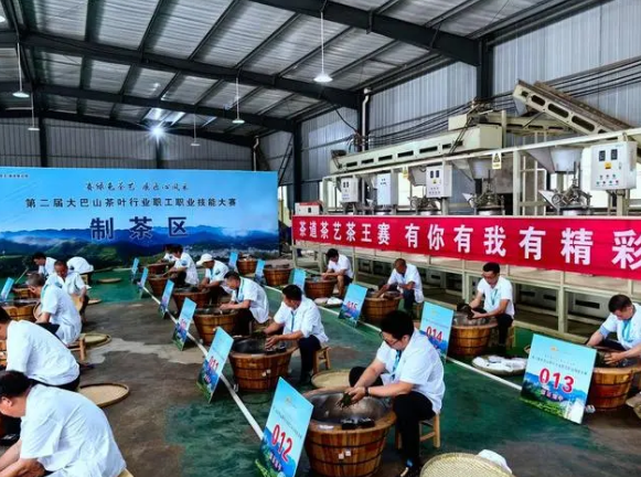 有关于第二届大巴山茶叶行业职工职业技能大赛在四川万源开赛的消息(4)