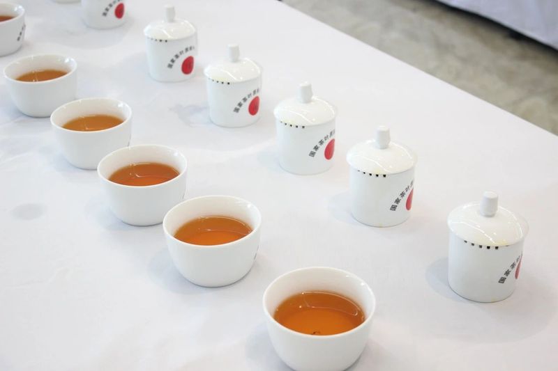 关于“烽烟”再起！寿宁这场斗茶赛很有看点……的内容(1)