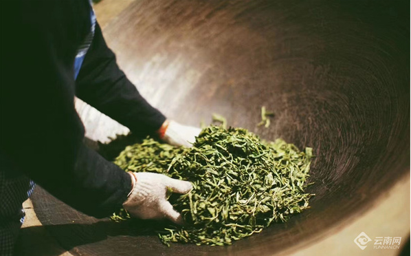 关于普洱澜沧：茶香四溢的春茶收官季的信息(1)