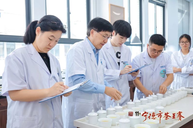 有关于600+茶样！5大茶王！宁德现象级茶王赛赛果出炉的相关内容(4)