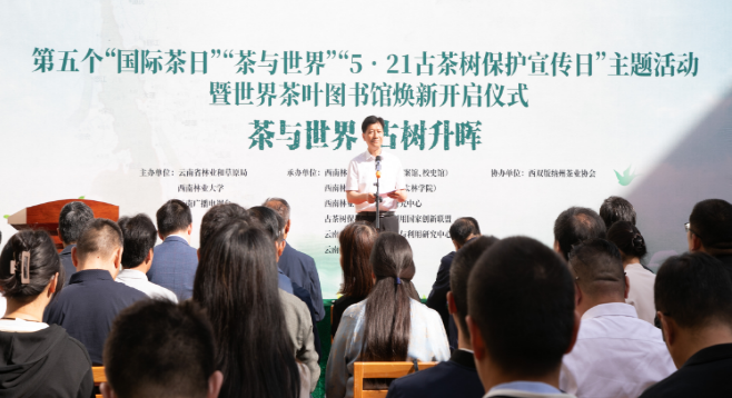 有关于全国古茶树97%以上分布在云南的信息