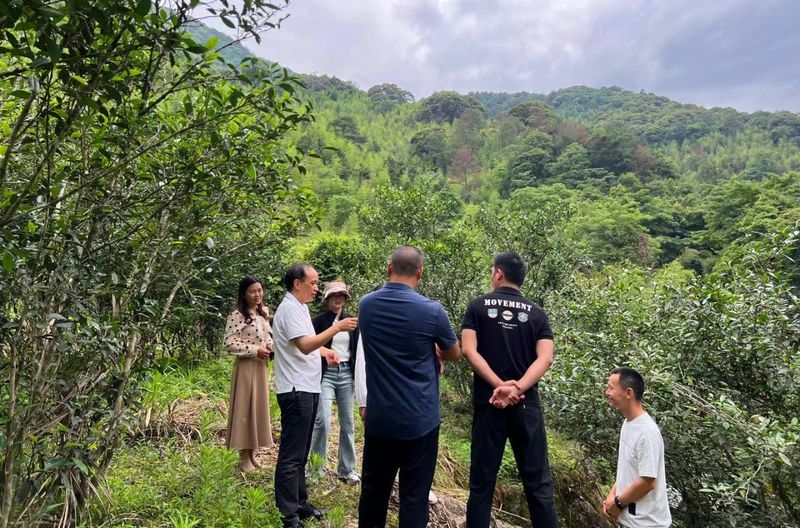 关于浙江大学2023年福建省乡村产业振兴带头人培育“头雁”项目走进邓大沿茶业的内容(2)