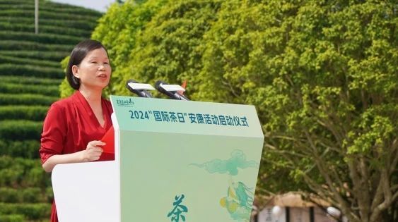 有关于国际茶日，因茶“安康”，因茶致富！的内容(2)