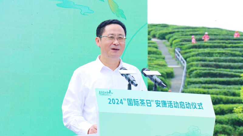 有关于国际茶日，因茶“安康”，因茶致富！的内容(1)