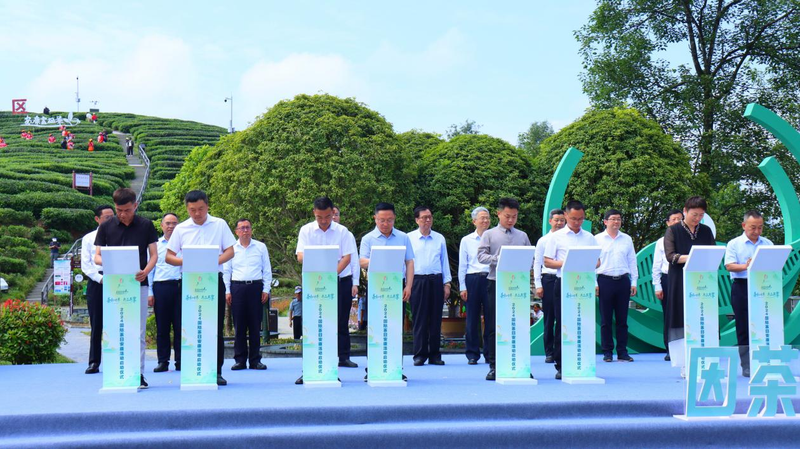 有关于国际茶日，因茶“安康”，因茶致富！的内容(4)