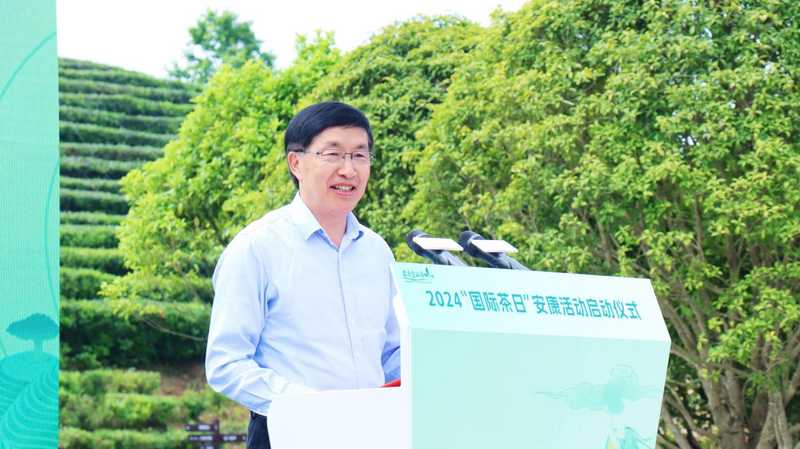 有关于国际茶日，因茶“安康”，因茶致富！的内容(3)