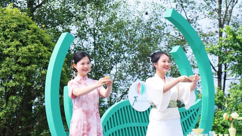 有关于国际茶日，因茶“安康”，因茶致富！的内容(8)