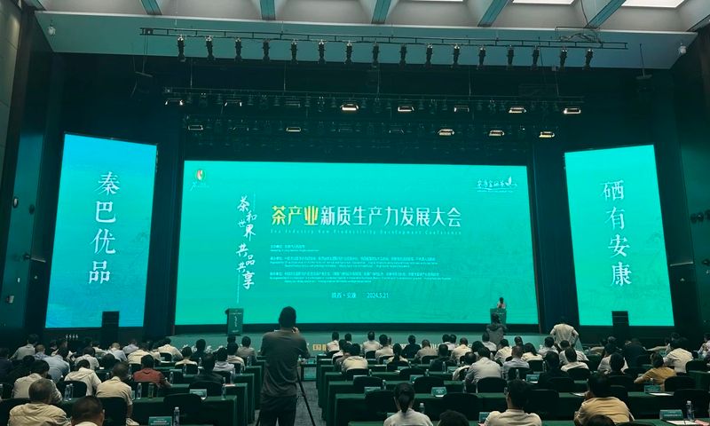 有关于国际茶日，因茶“安康”，因茶致富！的内容(7)