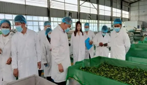 有关于“一对一”服务 助力“水城春”茶产业品牌的相关内容(1)