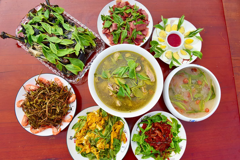 有关于521，聊聊传说中的昌宁茶的相关信息(1)