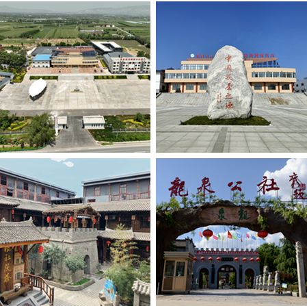 有关于喜报！泾阳茯茶区域公用品牌价值近15亿的信息(4)