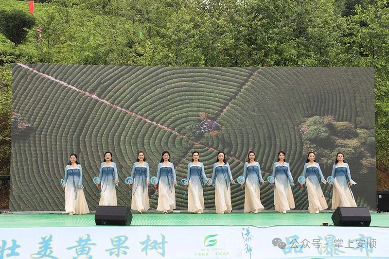 关于2024国际茶日·安顺市茶文旅品牌推介活动举行的相关信息(2)