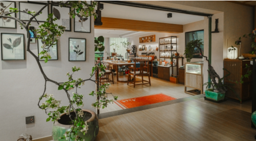 有关于云南普洱茶文化技艺交流学习中心正式成立的最新消息(1)