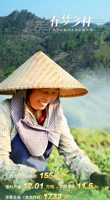 关于有梦乡村⑤ 产业先行，做活乡村振兴“茶文章”的资讯