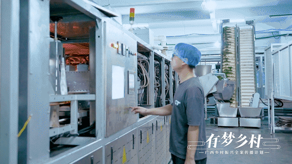 关于有梦乡村⑤ 产业先行，做活乡村振兴“茶文章”的资讯(3)