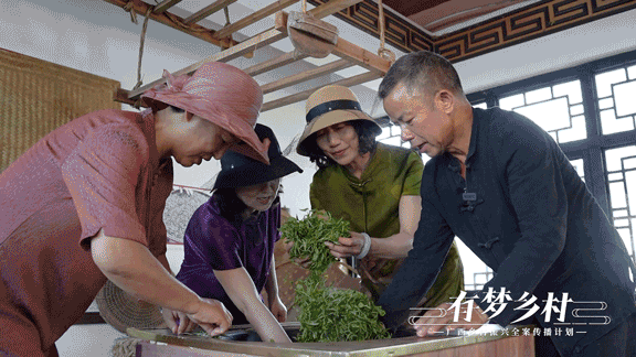 关于有梦乡村⑤ 产业先行，做活乡村振兴“茶文章”的资讯(11)