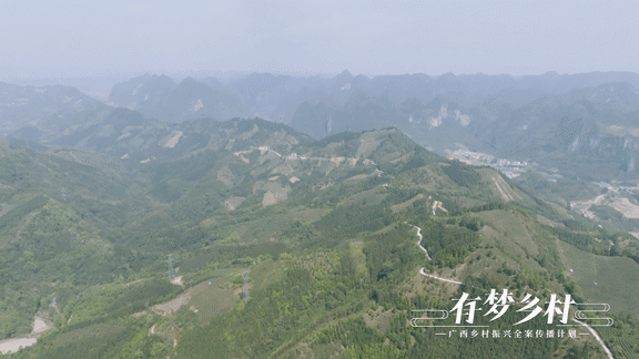 关于有梦乡村⑤ 产业先行，做活乡村振兴“茶文章”的资讯(8)