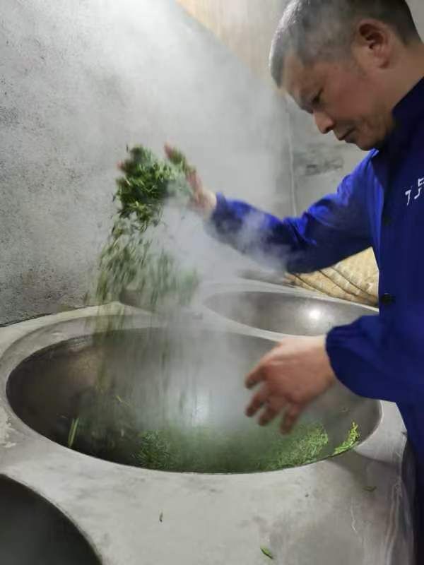 有关于雅安市第六批市级非物质文化遗产蒙顶黄芽传统制作技艺代表性传承人——曾志东的新闻(2)