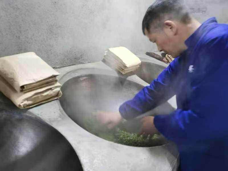 有关于雅安市第六批市级非物质文化遗产蒙顶黄芽传统制作技艺代表性传承人——曾志东的新闻(3)