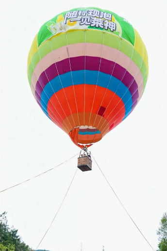 关于茗传万里新丝路，“镇”兴千年古茶乡——第十届长沙国际茶文化旅游节启幕的相关内容(2)