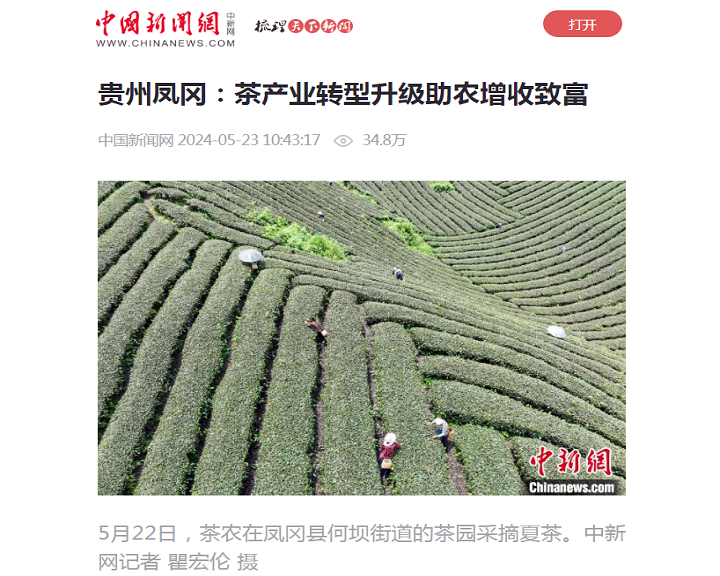 关于媒体看凤冈的相关内容(1)