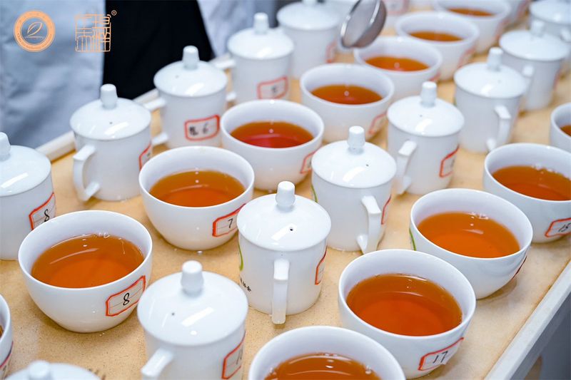 关于斗茶赛场群雄争霸！红茶“天花板”将花落谁家？的相关内容(5)