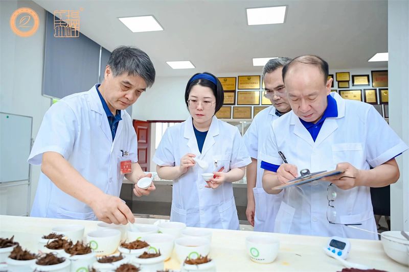 关于斗茶赛场群雄争霸！红茶“天花板”将花落谁家？的相关内容(9)