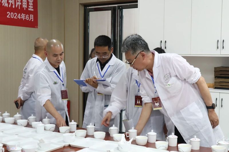 关于聚焦手工制茶，助力贵州茶业 首届“夷州杯”手工制茶技能大赛圆满落幕！的新闻(14)