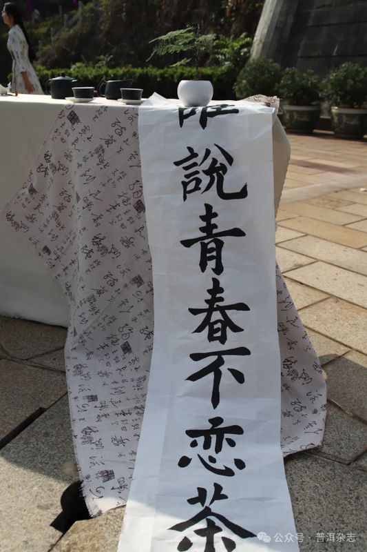 关于滇西应用技术大学普洱茶学院2024年国际茶日活动暨“澜沧古茶春億杯”专业技能大赛启动仪式圆满落幕的相关内容(2)