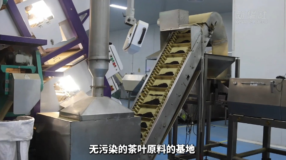 关于中国茶新表达！小县城“破圈”新茶饮的消息