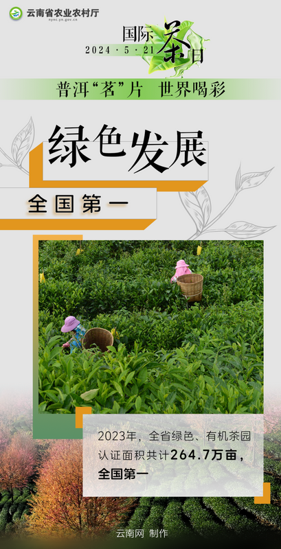 有关于国际茶日 小小绿叶释放大能量！“云茶”交出亮眼成绩单→的信息(2)