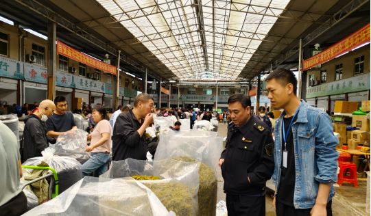 有关于纠纷处置率100% 涉茶警情同比下降40% 松阳优化茶产业营商环境擦亮共富“金叶子”的相关信息(1)
