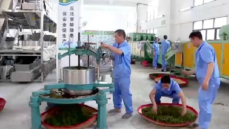 有关于一片绿叶子 一张金名片 大埔县大力发展茶叶产业 带动村民增收致富的相关信息(2)