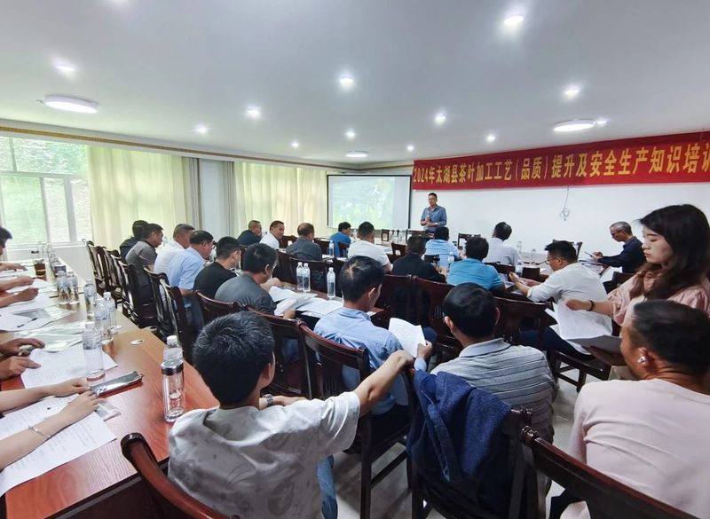 关于安徽太湖：三级专家“四聚焦”，精心培育兴茶人的相关信息(1)