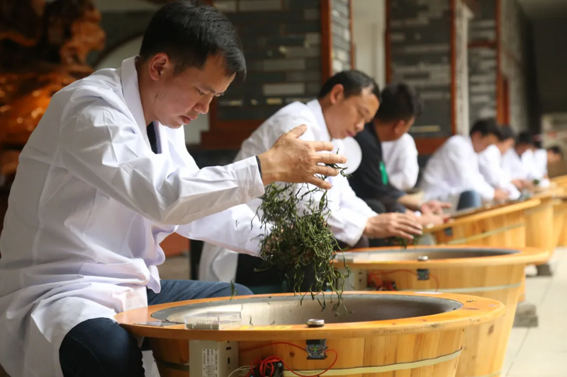 有关于茶韵黔地，共襄盛举！金沙县2024“5.21国际茶日”盛典完美落幕的消息