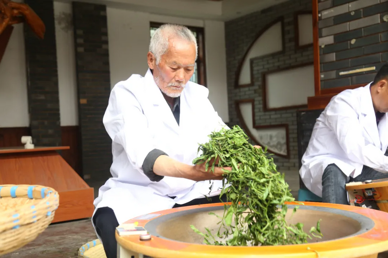 有关于茶韵黔地，共襄盛举！金沙县2024“5.21国际茶日”盛典完美落幕的消息(1)