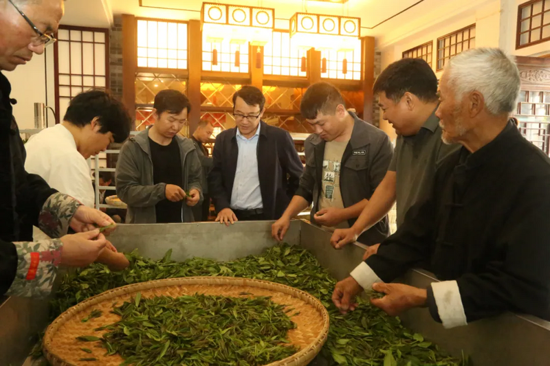 有关于茶韵黔地，共襄盛举！金沙县2024“5.21国际茶日”盛典完美落幕的消息(3)