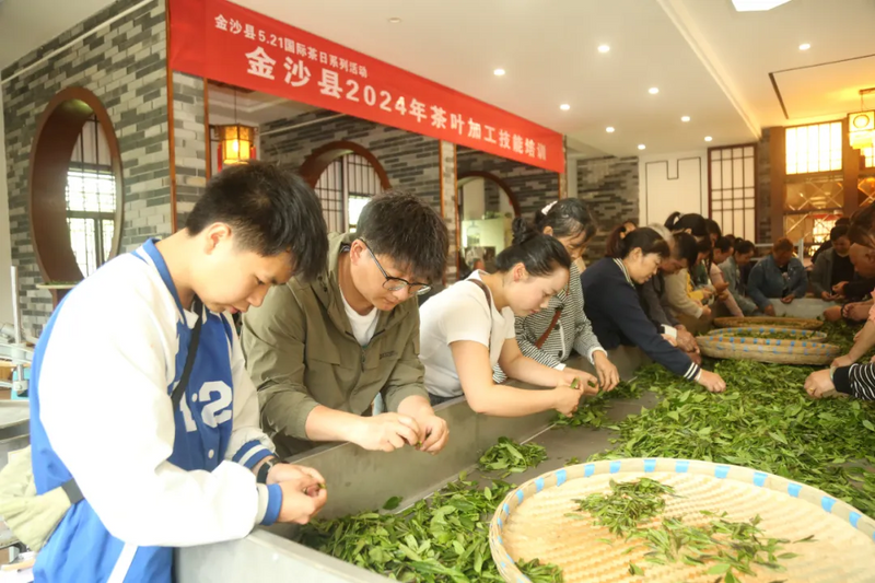 有关于茶韵黔地，共襄盛举！金沙县2024“5.21国际茶日”盛典完美落幕的消息(2)