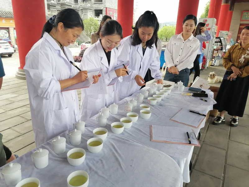 有关于茶韵黔地，共襄盛举！金沙县2024“5.21国际茶日”盛典完美落幕的消息(4)