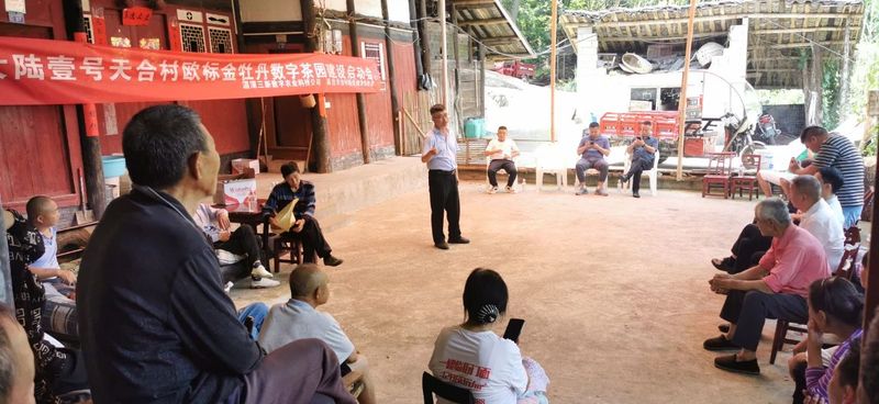 关于湄潭高台天合村欧标金牡丹数字茶园建设启动的信息