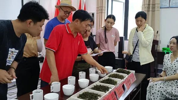 有关于茶叶所2023年普洱茶拼配研修班顺利举办的新闻(2)