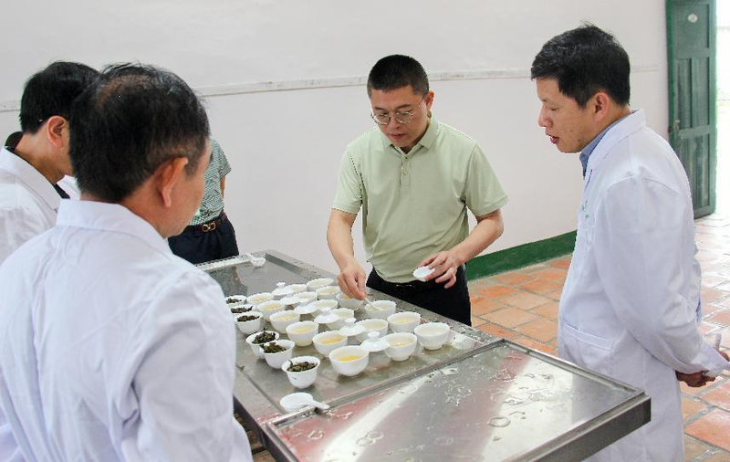 关于2024年春季梅占茶王赛圆满收官！的相关信息(1)