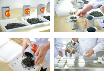 关于2024年春季梅占茶王赛圆满收官！的相关信息